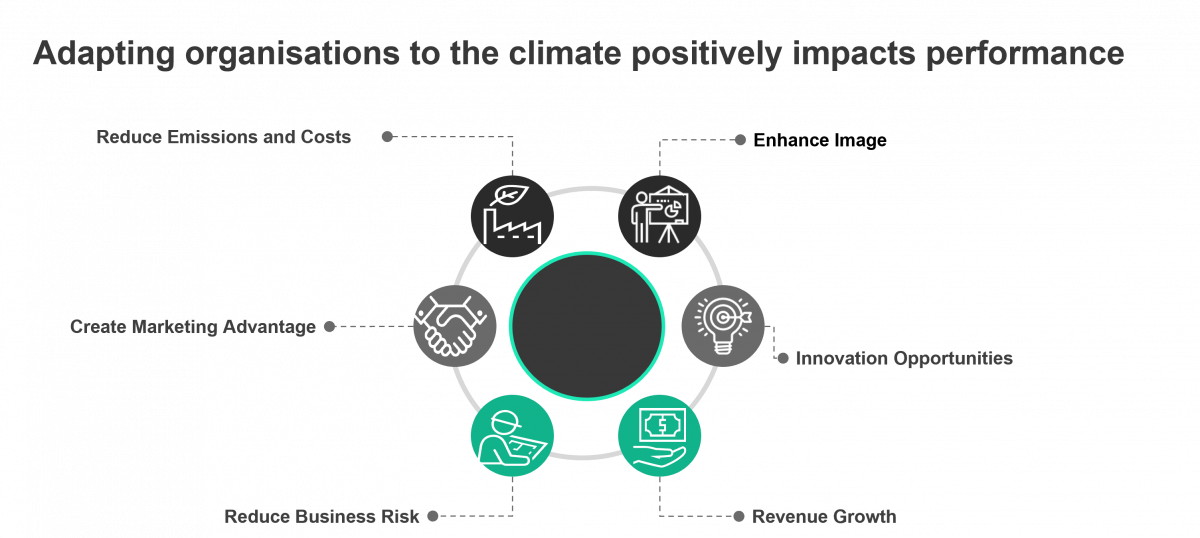 Organizational Transformation for Climate